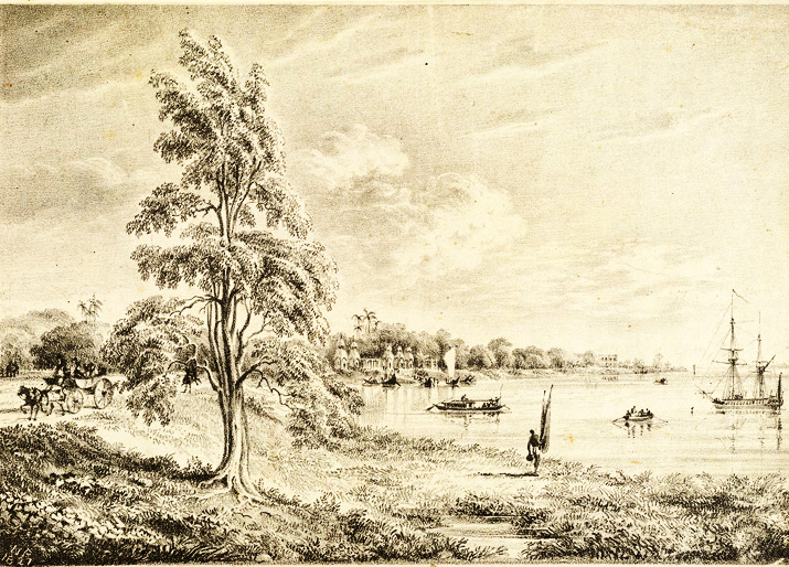 barrackpore-riverside-lipoo-tree_williamprinsep_1827