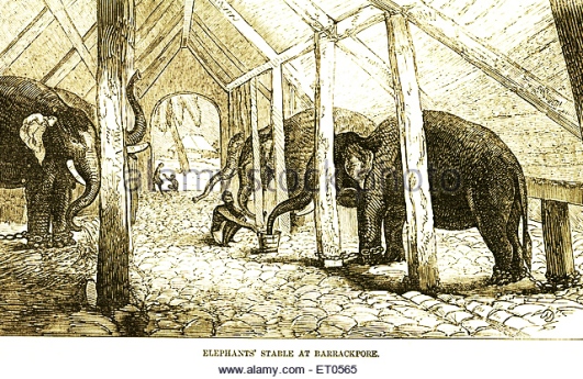 elephants-stable-at-barrackpore